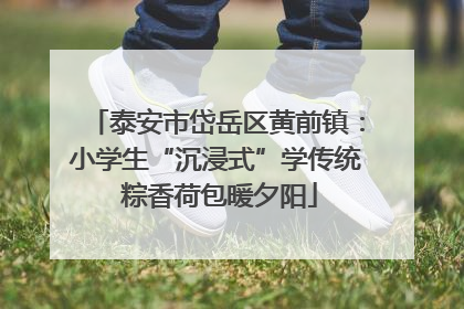 泰安市岱岳区黄前镇：小学生“沉浸式”学传统 粽香荷包暖夕阳