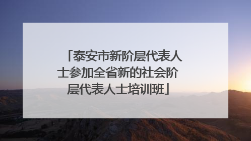 泰安市新阶层代表人士参加全省新的社会阶层代表人士培训班