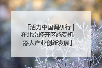 活力中国调研行｜在北京经开区感受机器人产业创新发展