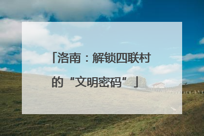 洛南：解锁四联村的“文明密码”