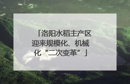 洛阳水稻主产区迎来规模化、机械化“二次变革”