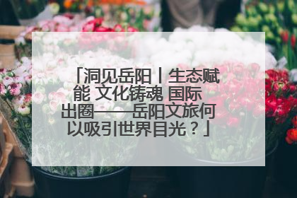 洞见岳阳丨生态赋能 文化铸魂 国际出圈——岳阳文旅何以吸引世界目光？
