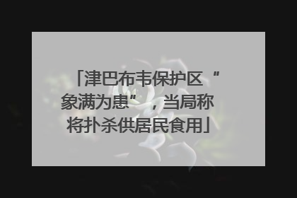 津巴布韦保护区“象满为患”，当局称将扑杀供居民食用