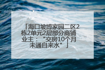 海口坡博家园二区2栋2单元2层部分商铺业主：“交房10个月未通自来水”