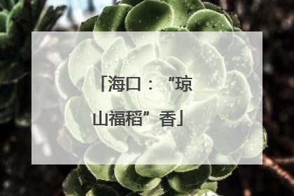 海口：“琼山福稻”香