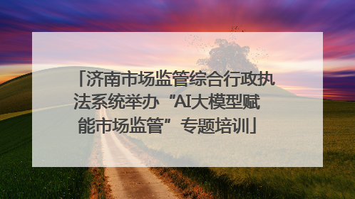 济南市场监管综合行政执法系统举办“AI大模型赋能市场监管”专题培训