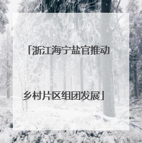 浙江海宁盐官推动乡村片区组团发展