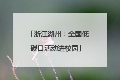 浙江湖州：全国低碳日活动进校园