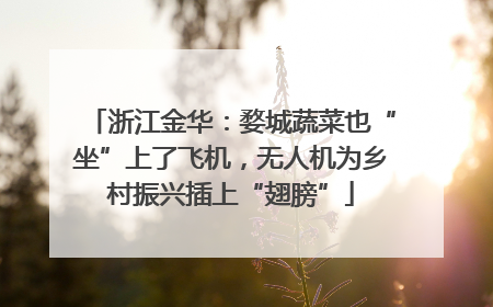 浙江金华：婺城蔬菜也“坐”上了飞机，无人机为乡村振兴插上“翅膀”