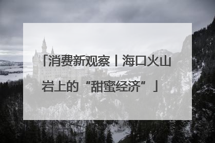 消费新观察丨海口火山岩上的“甜蜜经济”