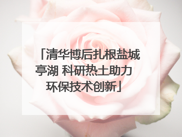 清华博后扎根盐城亭湖 科研热土助力环保技术创新
