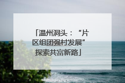 温州洞头：“片区组团强村发展”探索共富新路