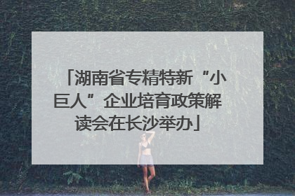 湖南省专精特新“小巨人”企业培育政策解读会在长沙举办