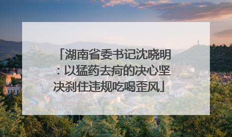 湖南省委书记沈晓明：以猛药去疴的决心坚决刹住违规吃喝歪风