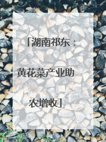 湖南祁东：黄花菜产业助农增收