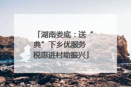 湖南娄底：送“典”下乡优服务 税惠进村助振兴