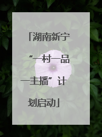 湖南新宁“一村一品一主播”计划启动