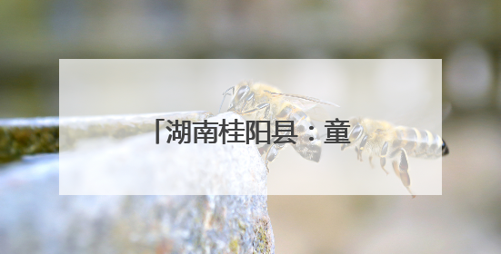 湖南桂阳县：童心向党筑梦行 六载芳华启新程