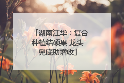 湖南江华：复合种植结硕果 龙头兜底助增收