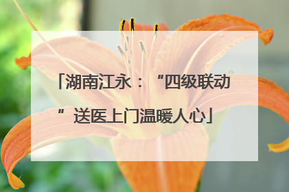 湖南江永：“四级联动”送医上门温暖人心