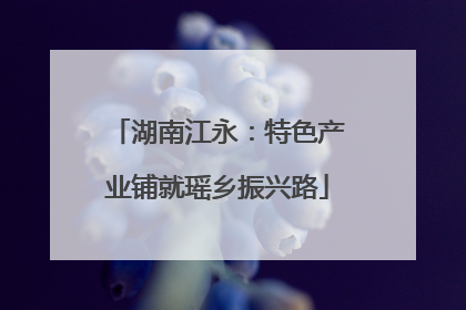 湖南江永：特色产业铺就瑶乡振兴路