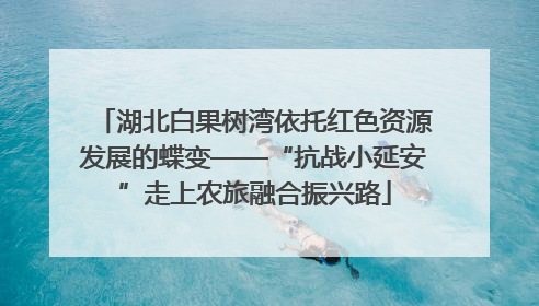 湖北白果树湾依托红色资源发展的蝶变——“抗战小延安”走上农旅融合振兴路