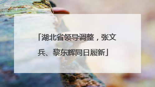 湖北省领导调整，张文兵、黎东辉同日履新