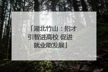 湖北竹山：招才引智进高校 促进就业助发展