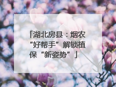湖北房县：烟农“好帮手”解锁植保“新姿势”