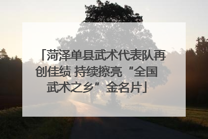 菏泽单县武术代表队再创佳绩 持续擦亮“全国武术之乡”金名片