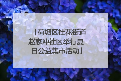 荷塘区桂花街道赵家冲社区举行夏日公益集市活动