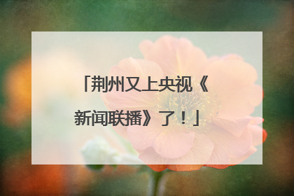 荆州又上央视《新闻联播》了！