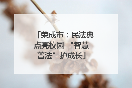 荣成市：民法典点亮校园 “智慧普法”护成长