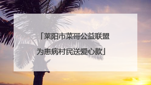 莱阳市菜哥公益联盟为患病村民送爱心款