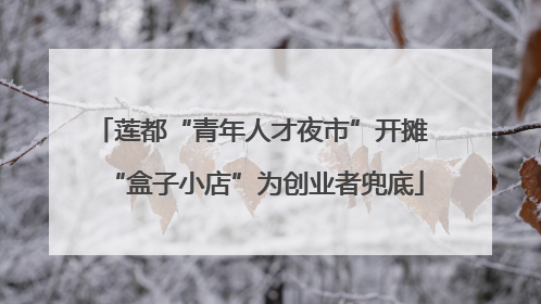 莲都“青年人才夜市”开摊 “盒子小店”为创业者兜底