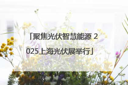 聚焦光伏智慧能源 2025上海光伏展举行
