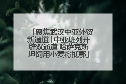 聚焦武汉中亚外贸新通道│中亚班列开辟双通道 哈萨克斯坦饲用小麦将抵鄂