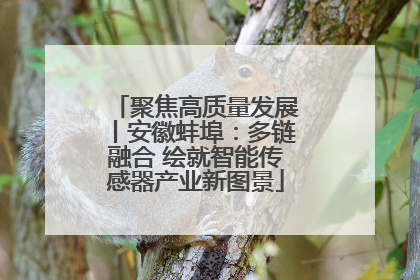聚焦高质量发展丨安徽蚌埠：多链融合 绘就智能传感器产业新图景