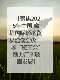 聚焦2025年中国·廊坊国际经济贸易洽谈会③一场“链主会” 助力厂商破圈发展