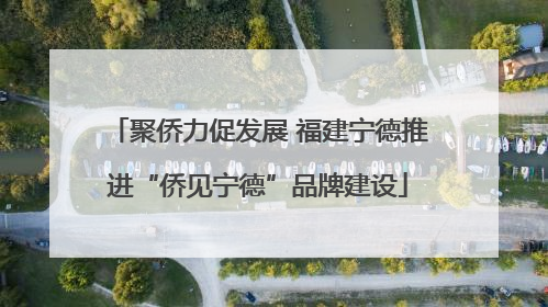 聚侨力促发展 福建宁德推进“侨见宁德”品牌建设
