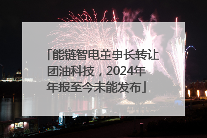 能链智电董事长转让团油科技，2024年年报至今未能发布