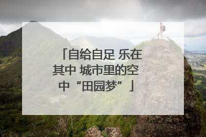 自给自足 乐在其中 城市里的空中“田园梦”