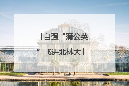 自强“蒲公英”飞进北林大