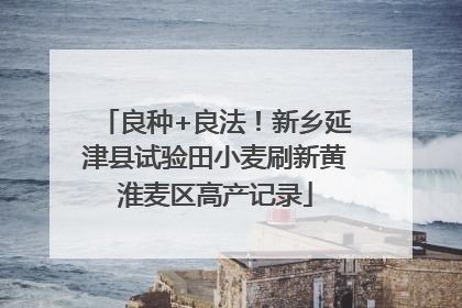 良种+良法！新乡延津县试验田小麦刷新黄淮麦区高产记录