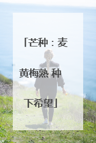 芒种：麦黄梅熟 种下希望