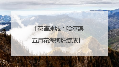 花语冰城：哈尔滨五月花海绚烂绽放