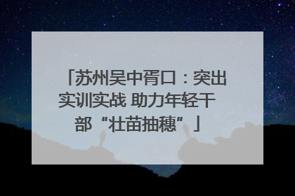 苏州吴中胥口：突出实训实战 助力年轻干部“壮苗抽穗”