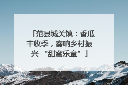 范县城关镇：香瓜丰收季，奏响乡村振兴 “甜蜜乐章”
