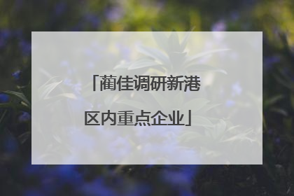 蔺佳调研新港区内重点企业