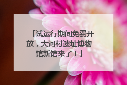 试运行期间免费开放，大河村遗址博物馆新馆来了！